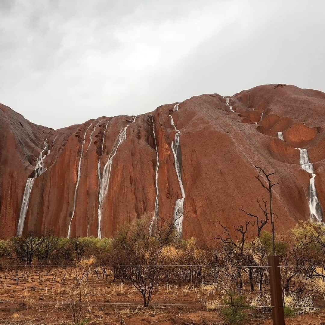 Australiaさんのインスタグラム写真 - (AustraliaInstagram)「There's no doubt about it, @seeuluru is truly magnificent in rain, hail or shine ❤️ It's been 'raining on the rock' in @visitcentralaus recently, with more rain falling over 24 hours than #UluruKataTjutaNationalPark has had in total over the last 7 months, creating this super special and unusual sight. The @NTAustralia's iconic #Uluru and #KataTjuta change in appearance daily at sunrise and sunset, showcasing rich hues of brilliant red and orange, but only a few are lucky enough to witness the incredible colours and waterfalls that occur after heavy rain here. Not only does Uluru take on shades of burgundy, silver and even black, the desert landscape instantly comes to life, with plants blooming and animals emerging to drink. Simply magical 🤩 📸 by @parksaustralia #seeaustralia #seeuluru #NTAustralia #holidayherethisyear」10月26日 19時00分 - australia