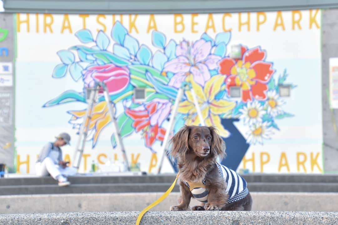 etsukoのインスタグラム
