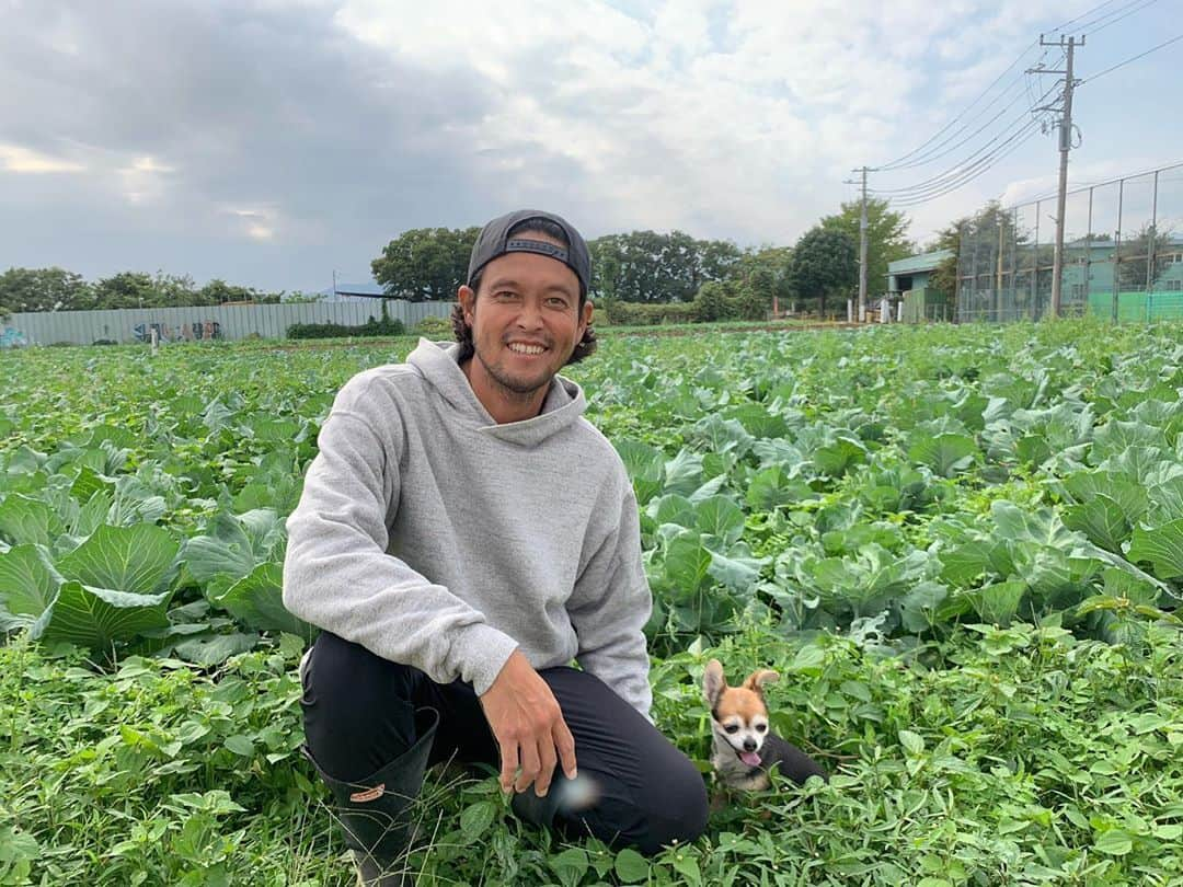 三浦理志さんのインスタグラム写真 - (三浦理志Instagram)「じゃがいもの芽かき、大根&カブの間引き完了！ 水菜はバッチリですね！ まだナス、ピーマン、ししとうが採れる。 今宵は鍋ですな〜😋 @a.g.spalding  #surfandnorf #farm #farmer #vegetables #agspaldingbros #畑　#農夫 #野菜 #ミウラメシ #ミウラ食堂 #鍋」10月26日 19時05分 - mar4m