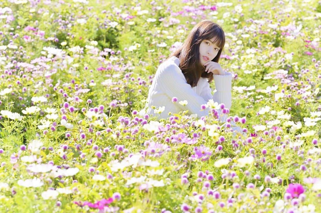 川子芹菜さんのインスタグラム写真 - (川子芹菜Instagram)「. . 比叡山で撮影した時の📸✨ . この日はすごく晴れてくれて暖かくて たくさんのお花に囲まれて幸せでした😭💖 . . . #比叡山 #比叡山ガーデンミュージアム #景色 #景色好きな人と繋がりたい #景色綺麗 #花 #旅 #旅行 #旅行好きな人と繋がりたい #旅行好き女子 #花畑 #コスモス  #コスモス畑 #ポートレート #たびすたぐらむ #たびじょ #タビジョ #タビジョと繋がりたい  #旅女 #旅スタグラム #旅好きな人と繋がりたい  #滋賀 #京都」10月26日 19時07分 - kawakoserina