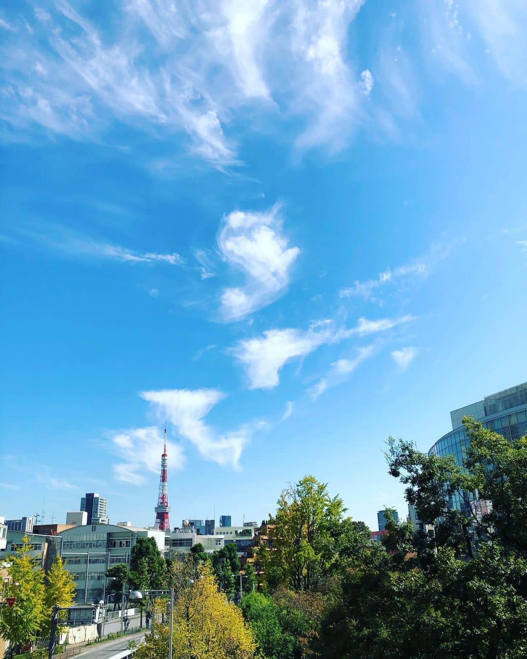 今村涼子さんのインスタグラム写真 - (今村涼子Instagram)「#秋の雲 は、撮りがいありますね。 #六本木ヒルズ#東京タワー柿の木」10月26日 19時36分 - ryoko.imamu