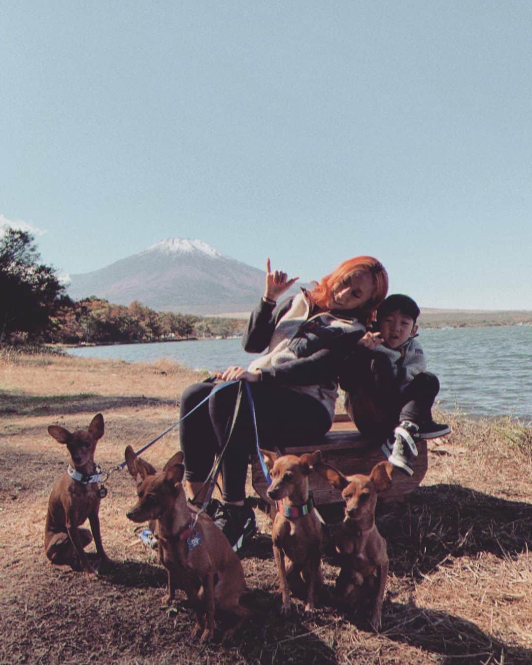JAMOSAさんのインスタグラム写真 - (JAMOSAInstagram)「富士山が見える山中湖でファミリーキャンプ🏕🍂初めてダイヤモンドフジも見れたよ💎眩しくてわんちゃん達まで細目😂スースーいつもありがとう🥰❣️」10月26日 19時43分 - jamosa148