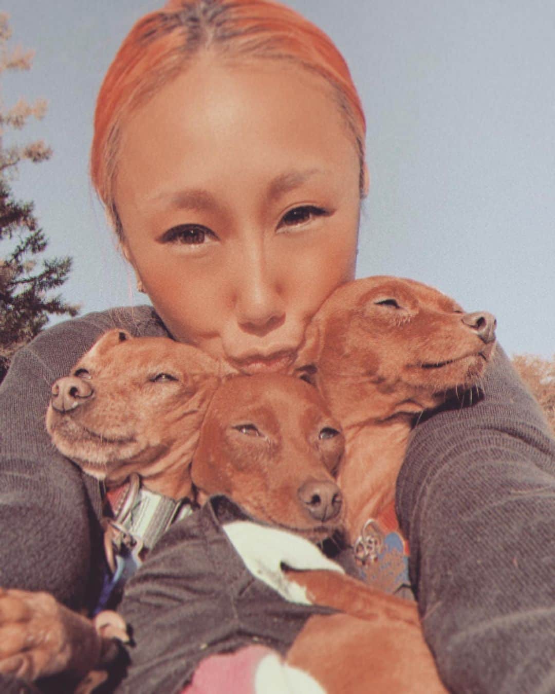 のインスタグラム：「富士山が見える山中湖でファミリーキャンプ🏕🍂初めてダイヤモンドフジも見れたよ💎眩しくてわんちゃん達まで細目😂スースーいつもありがとう🥰❣️」