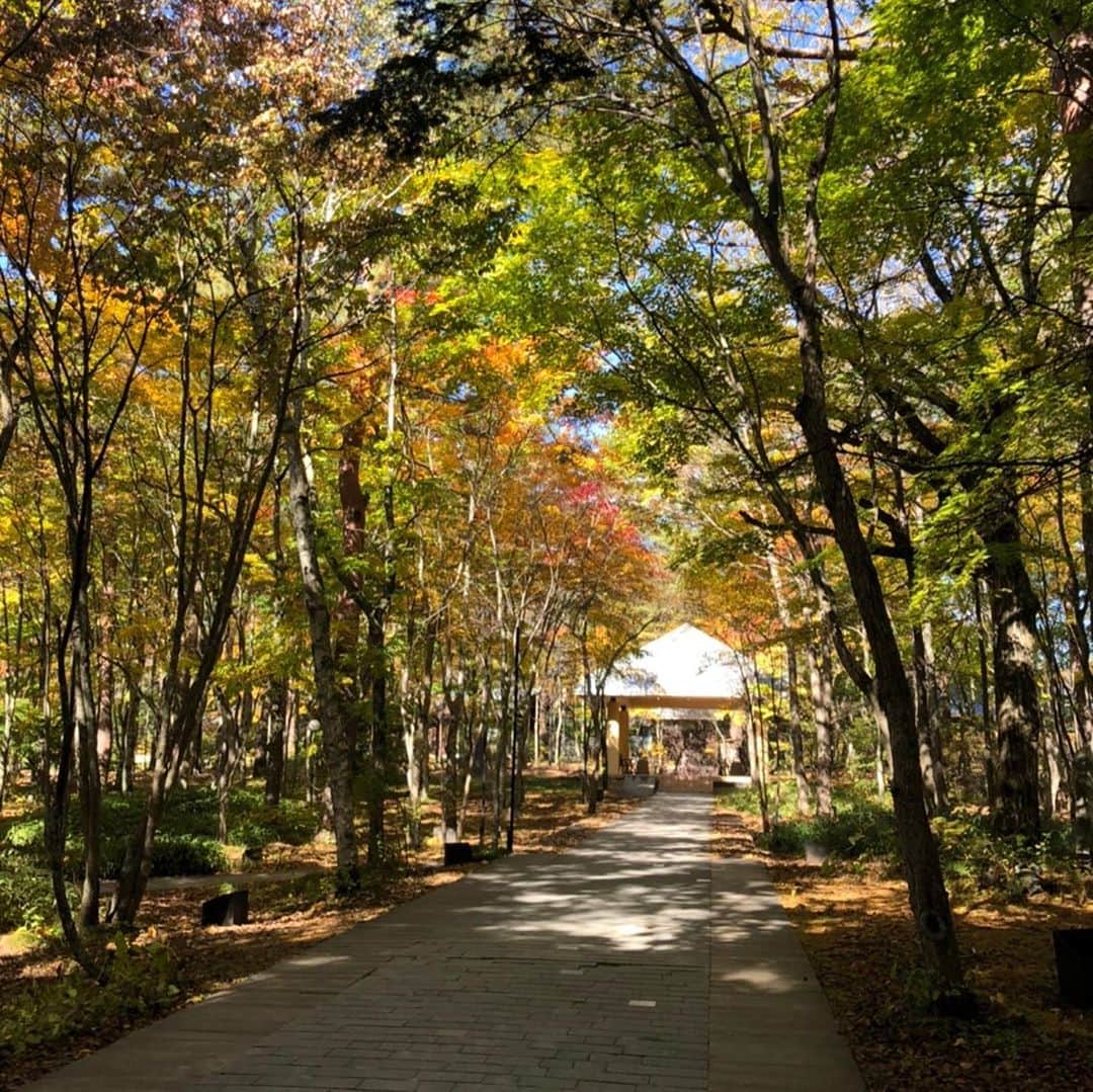 【公式】軽井沢高原教会さんのインスタグラム写真 - (【公式】軽井沢高原教会Instagram)「軽井沢の秋、進んでいます。 今日は日差しがたっぷり、 気持ちの良い秋晴れでした。  #軽井沢高原教会 #軽井沢 #秋散歩 #秋2020 #星野エリア」10月26日 19時52分 - karuizawa_kogenchurch