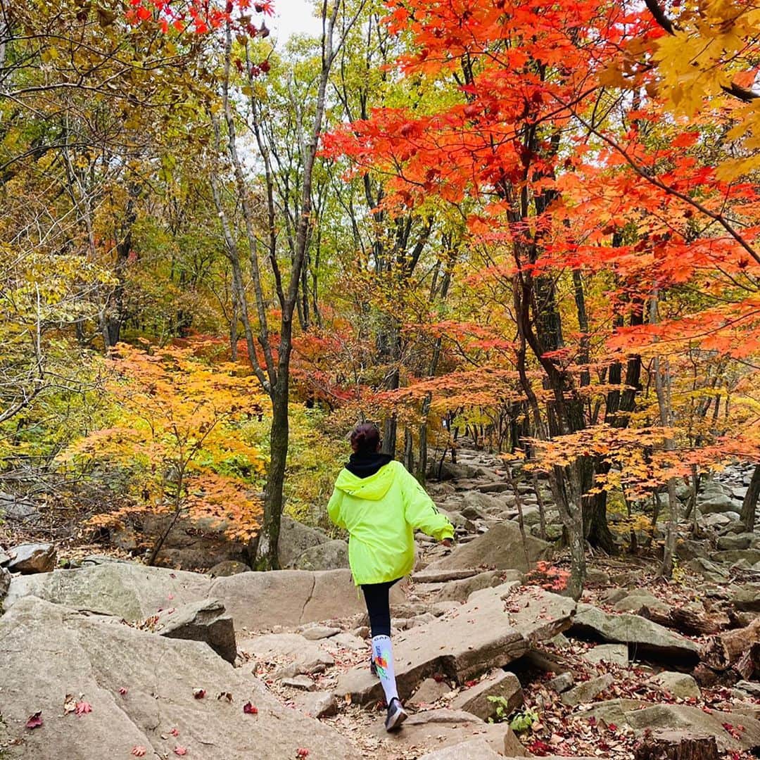 ソヨンのインスタグラム：「🍃🍂🍁⛰🍁🍂🍃」