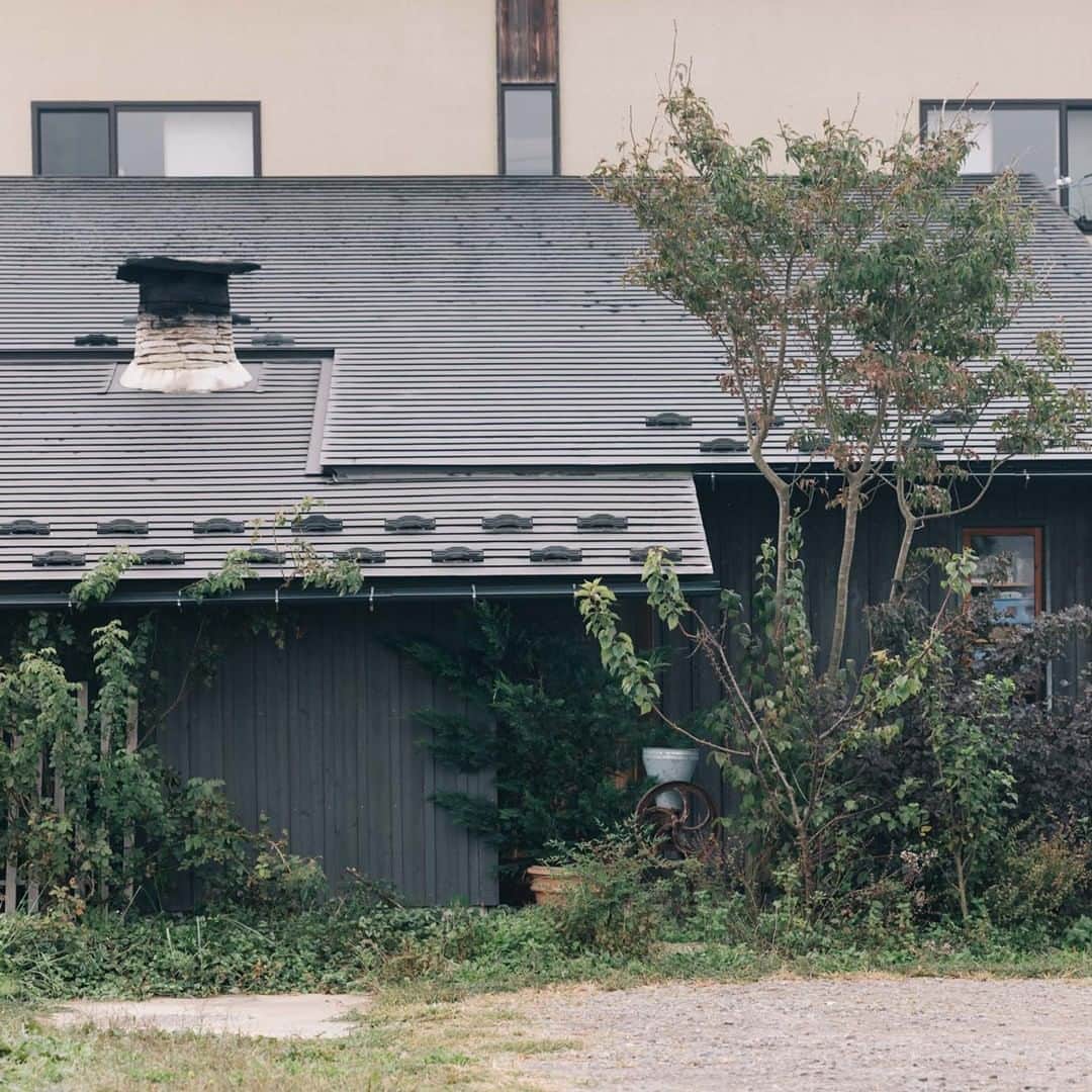 ヒラハルのグルメインスタ