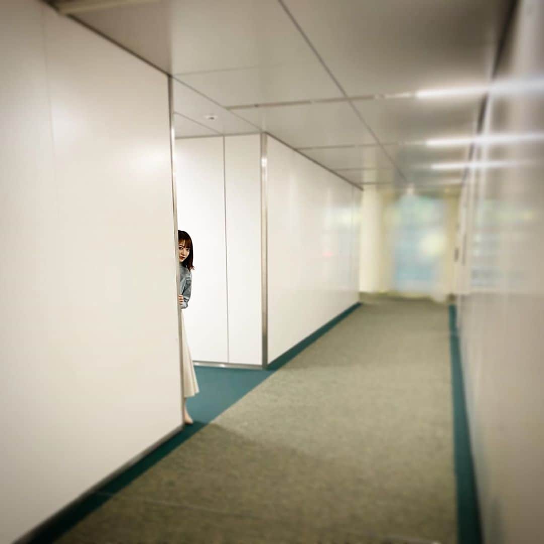 山本紘之さんのインスタグラム写真 - (山本紘之Instagram)「歩いていたら、なっつを発見！ 昨日畑下は捕まえられなかったのか… スーパーボール使ってみようか。  #滝菜月 #なっつ」10月26日 21時15分 - yamamoto_hiroyuki.ntv