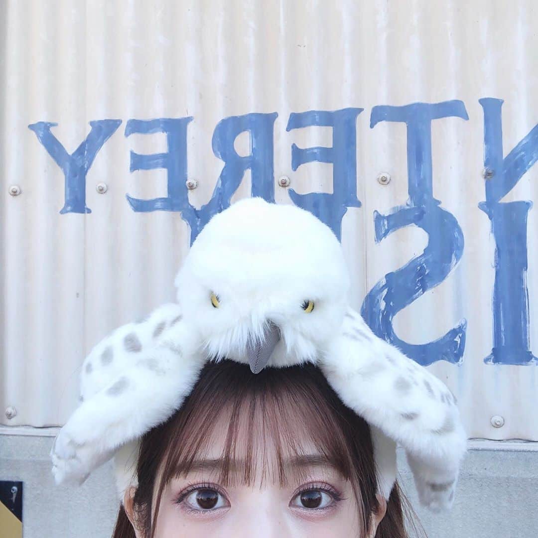 飯泉吏南さんのインスタグラム写真 飯泉吏南instagram この頭に乗ってる感がたまらなく可愛い ユニバ ユニバーサルスタジオジャパン ハリーポッター ヘドウィグ ヘドウィグカチューシャ 大阪 大阪旅行 大阪観光 10月26日 21時12分 Pocha Rina