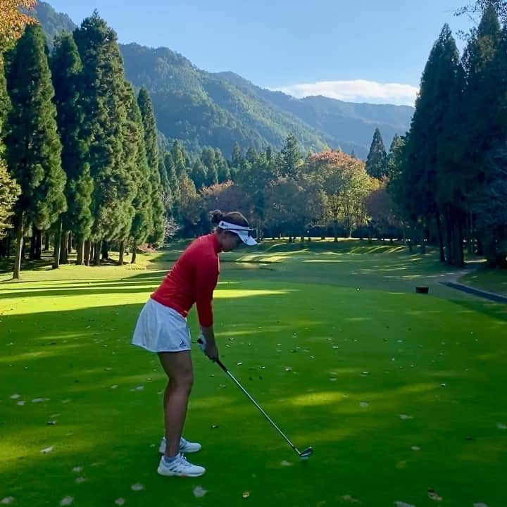 八巻セイラのグルメインスタ