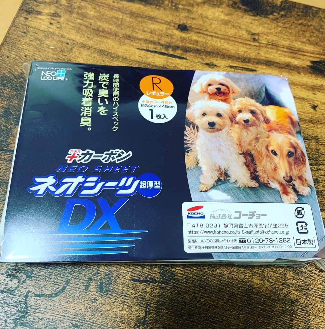 中村慶太のインスタグラム：「スポンサーである株式会社コーチョー様から﻿ 素敵なプレゼントを頂きました😍🎁﻿ ﻿ 自分が飼っているワンちゃん達が　﻿ 表紙に載ってるとすごくテンション上がりますね！﻿ 商品も多く愛用させていただいてます🤗﻿ 皆さんもペットを飼っていたら是非使ってみてください😊﻿ ﻿ #株式会社コーチョー﻿ #やさしさをかたちに﻿ #清水エスパルス　﻿ #中村慶太﻿ #犬のいる生活﻿ #大切に使います﻿ #ミニチュアダックスフンド﻿ #マルチーズ  https://www.kohcho.co.jp」