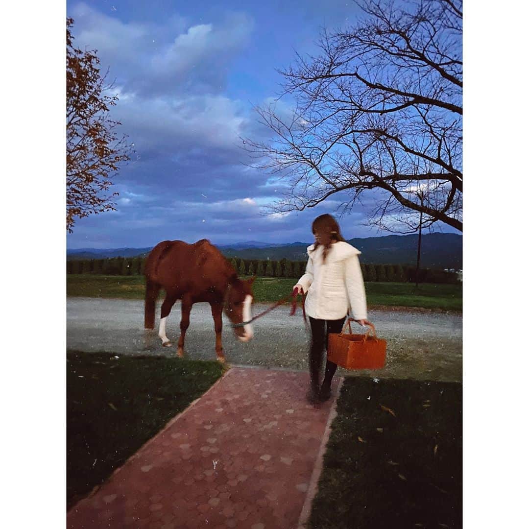 紗栄子さんのインスタグラム写真 - (紗栄子Instagram)「dreamとお散歩🐴💖 @nasufarmvillage」10月26日 21時44分 - saekoofficial