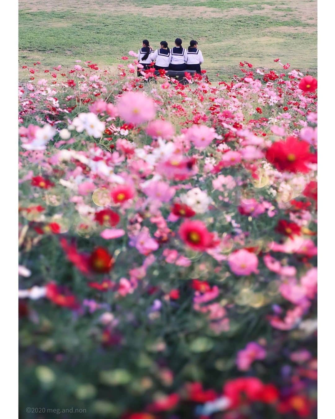 メグのん♡ A k i k oのインスタグラム：「♡school girls . . . アオハル . . . ♡」