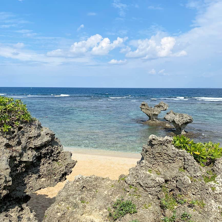 山内遥さんのインスタグラム写真 - (山内遥Instagram)「のんびり流れる時間〜🐚🦎🌿」10月26日 22時26分 - haruka__yamauchi