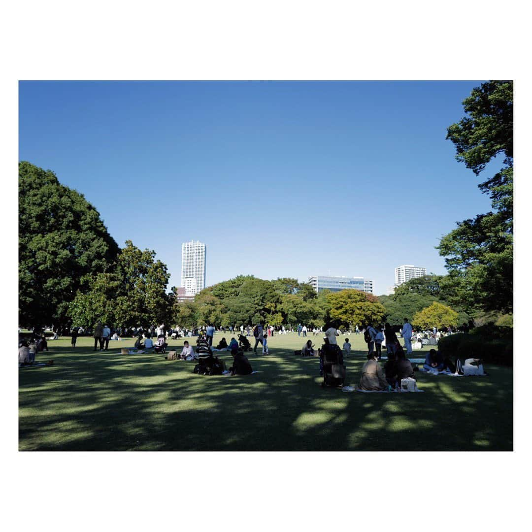 土井地恵理子さんのインスタグラム写真 - (土井地恵理子Instagram)「新宿御苑  青青とした芝生の大きな公園は Londonにいた頃に 学校帰りに友達とゴロゴロしてたのを思い出しました🇬🇧 海外行きたいな。  温室であったかいところの植物も堪能👌🏻  #新宿御苑 #新宿 #park #shinjuku #サボテン #ボタニカル #sunnyday」10月26日 22時42分 - ericodoiji