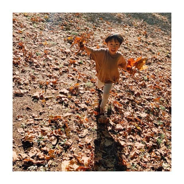 宇藤えみさんのインスタグラム写真 - (宇藤えみInstagram)「🍂🍂🍂🍂🍂 #成長記録」10月26日 22時35分 - emiuto