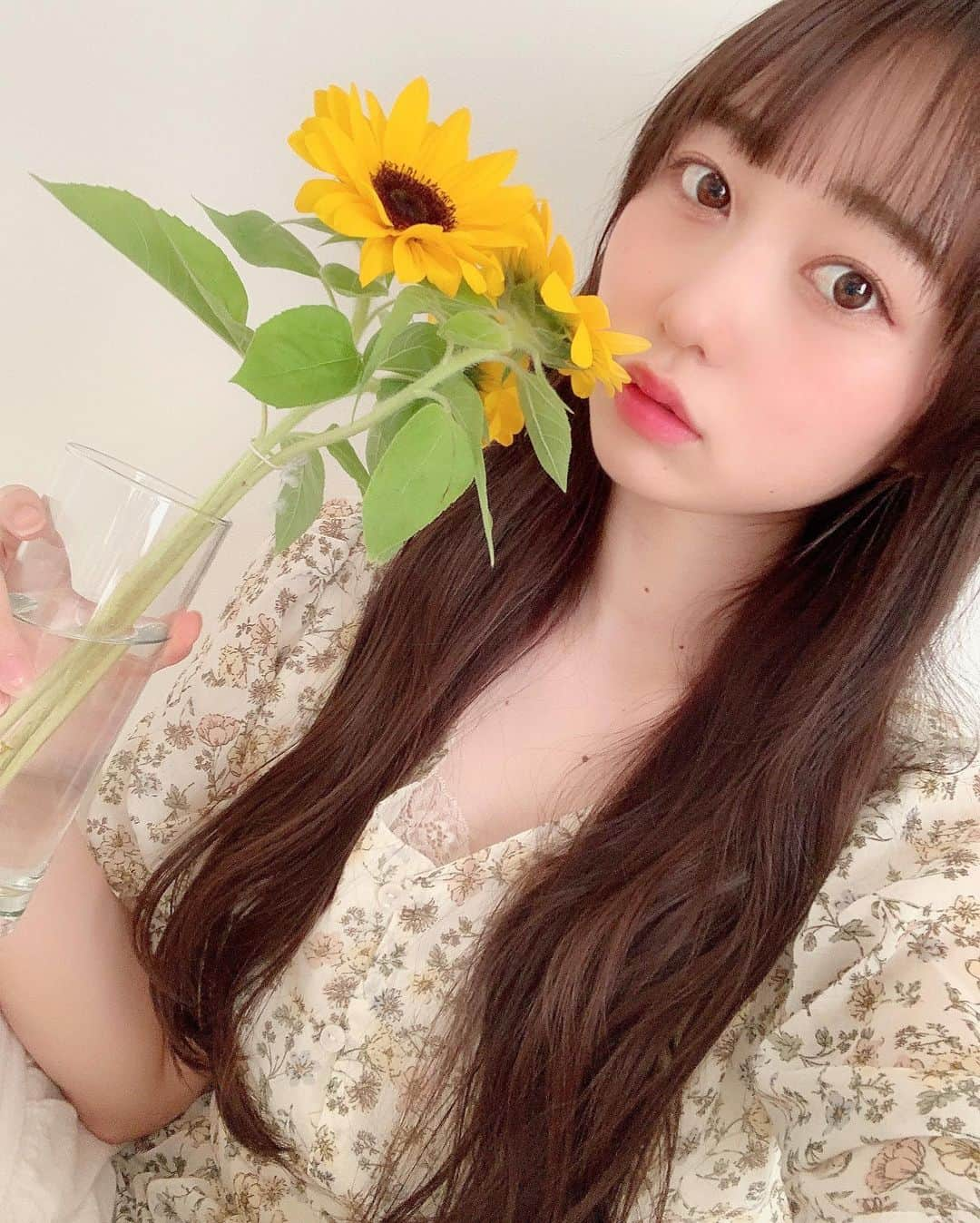 大盛真歩さんのインスタグラム写真 - (大盛真歩Instagram)「🌻✨﻿ ﻿ 最近この季節に咲いてるひまわりを見て元気が出ました😌﻿ ひまわりって気持ちが明るくなる気がする💭﻿ ﻿ おやすみ〜☁️  #夏 #花 #ひまわり #向日葵 #秋 #寒い # #自撮り #ロングヘア #flowers # #sunflower #selfie #hair #followｍe #instagood #like #love #photo」10月26日 22時36分 - maho_usagi