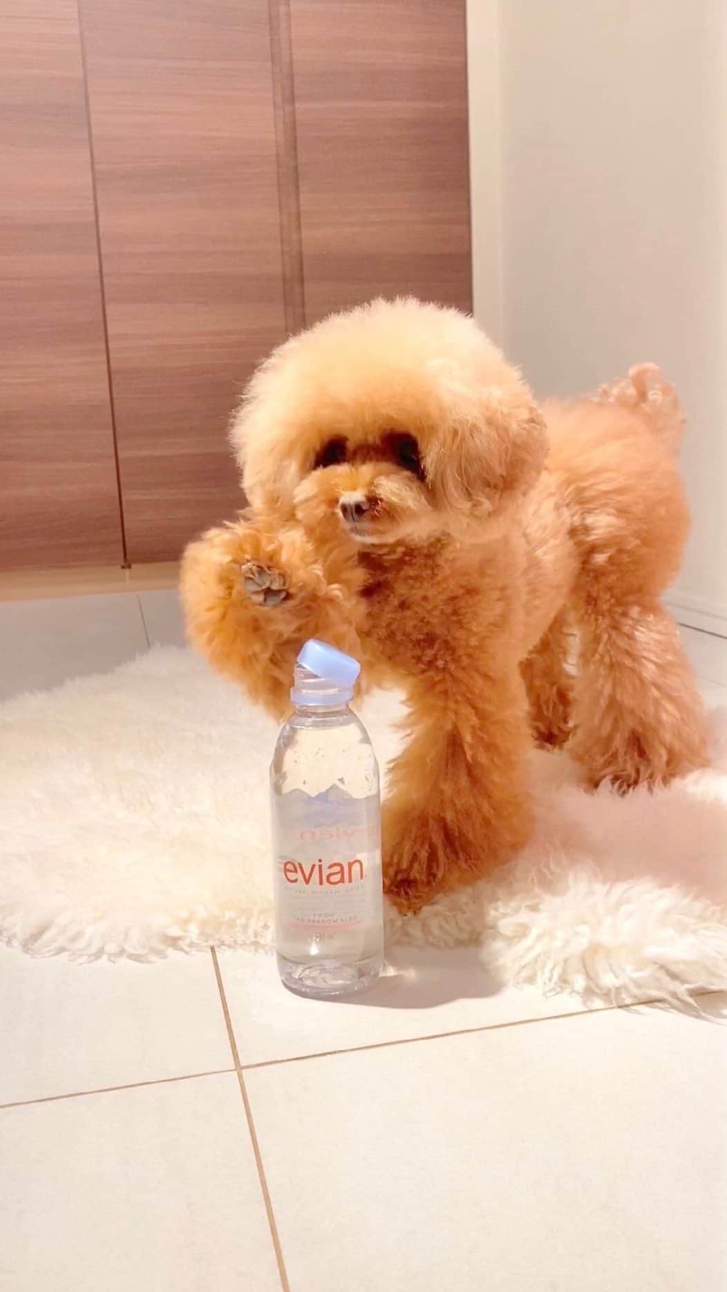 evianのインスタグラム：「Monday vibes with @azchpn 💙💧 #evian #evianwater #stayhydrated #positivedrops」