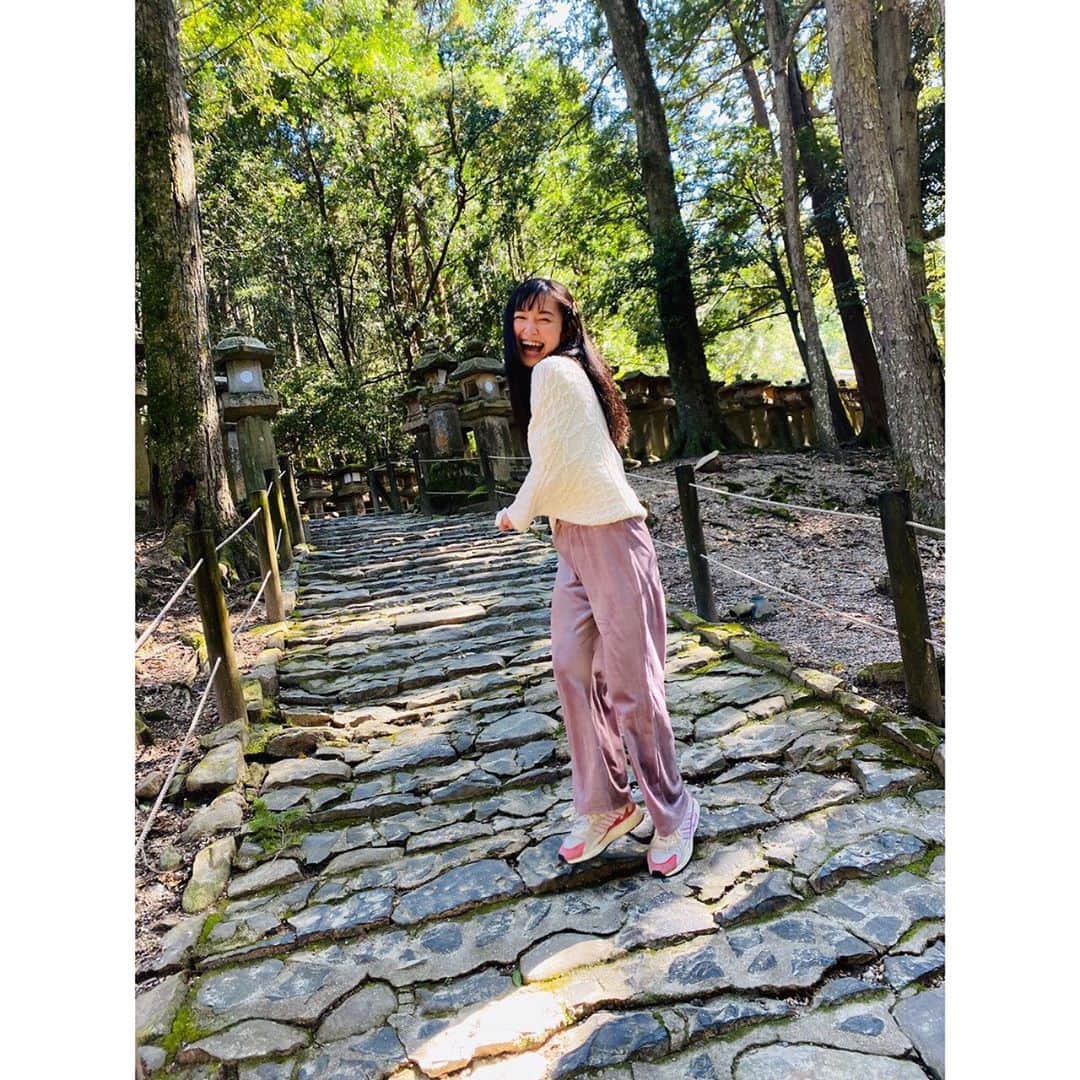 堀口日萌のインスタグラム：「. 奈良なら奈良⛩✨  春日大社の階段で📸 階段登るだけで爆笑できる幸せな女です。  鹿もこの顔🦌🦌 暑かったー  #奈良#narajapan#naradeer#古都奈良#春日大社#鹿」