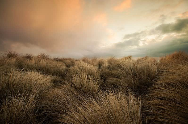 Michael Yamashitaさんのインスタグラム写真 - (Michael YamashitaInstagram)「Hurry, Black Friday is almost here. All prices on the @Prints.for.Nature Print sale go up 10% after Black Friday, so please buy your fine-art nature photographs now and help the communities on the front lines protecting nature. Because of the pandemic, funding from tourism and travel that was once used to protect nature and wildlife has all but disappeared. They need your support today.  And right now, that support will be doubled. A generous donor will be matching the next $10,000 in contributions.  Choose epic art from some of the world’s best photographers who have made it their life work to protect nature.  Purchase your fine-art prints today at www.printsfornature.com (link in bio.) 100% of net proceeds will support core @Conservationorg initiatives.  Here are some of my personal favorites from the collection.   1) @JimRichardsonNG 2) @DavidDoubilet 3) @stefanounterthiner 4) @pie_aerts 5) @camilleseaman 6) @RobertClarkphoto 7) @melissafarlow 8) @babaktafreshi   #conservation #printsfornature #fineart #fineartprints #nature」11月25日 2時24分 - yamashitaphoto