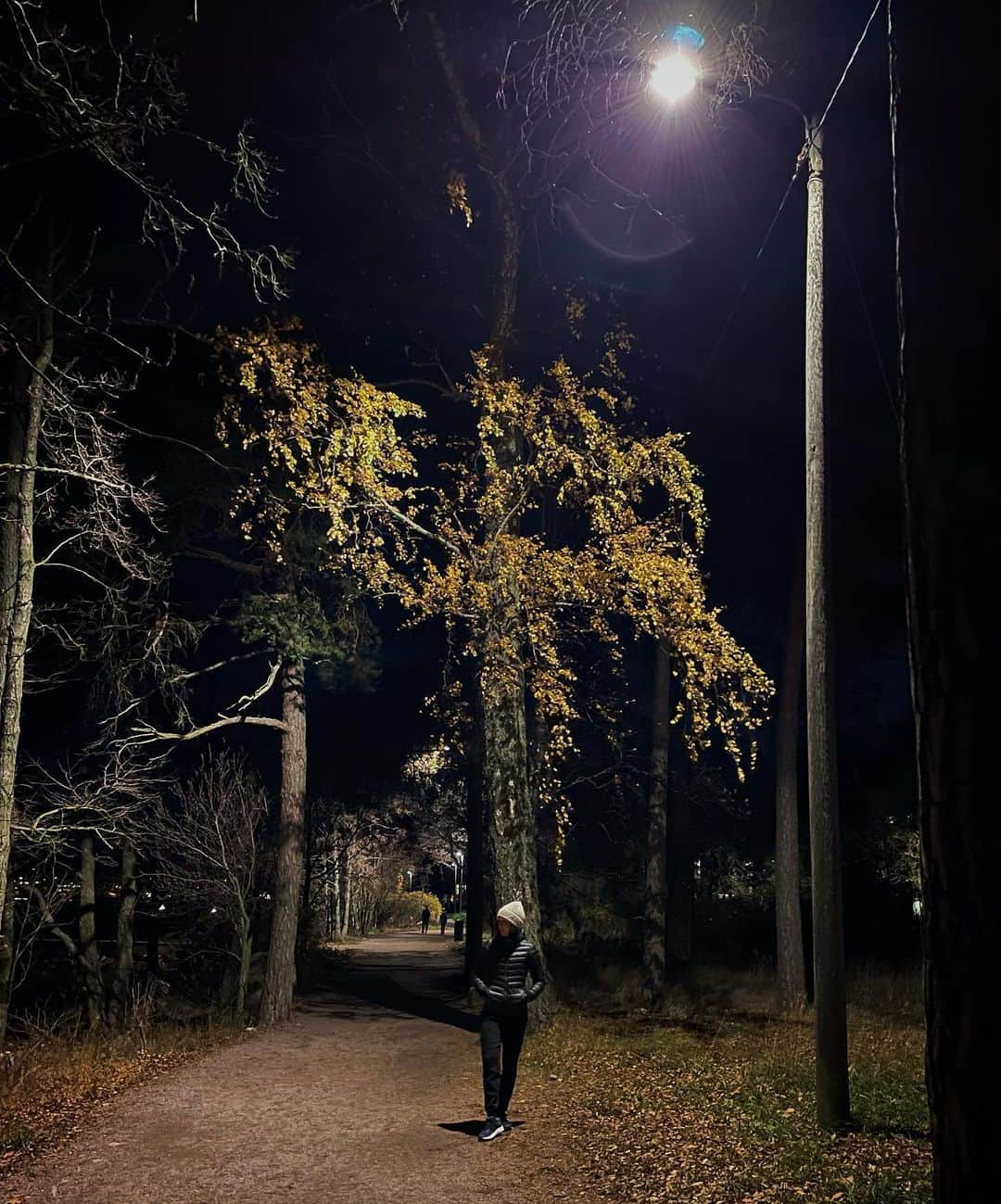 ラウラ・レピストのインスタグラム：「Swaippaa marraskuun valot päälle🌑👉🏼💡 *Yhteistyössä @puhdistamo’n kanssa💚 Täällä on ollut keväästä asti projektina luvattoman alhaalla olleiden varastorauta-arvojen nostaminen. Mulla rauta-arvojen nousu tuntuu siltä kun laittais valot päälle tai vähintään jonkun varageneraattorin, kun energiaa ilmestyy taas jostain😅 Projektin myötä ravintolisät ja labratsekkaukset on tulleet tutuksi. Onko täällä joku samassa veneessä?  . Raudan imeytymistä tukevan C-vitskun lisäksi oon ottanut kuurina mm. D:tä (joka nyt pimeällä jatkuu) ja B:tä, kun niissäkin tasoissa ”oli parantamisen varaa”. Varastorautatasojen nostaminen vaatii tooodella kärsivällisyyttä, mutta onneks lisien pedantti napsiminen on tuottanut tulosta, ja mulla Puhdistamon tuotteet ovat imeytyneet erinomaisesti ja nostaneet haluttuja vitamiinitasoja. . Mulle ravintolisissä on ihan erityisen tärkeää, että löydän sellaisen tuotteen johon luotan 100%, ja joka imeytyy ja tekee tehtävänsä. Mulle Puhdistamo on todistanut laatunsa – tuotteet eivät sisällä mitään ylimääräistä, ja jokainen tuote on kehitetty olemaan laadukkain mahdollinen. . P.s. Puhdistamolla on meneillään aiikas mehevät alet Black Weekin kunniaksi, eli jos vitskukaapit kaipaa täydennystä niin lämmin suositus klikkaamaan verkkokauppaan.📱  . Ja p.p.s… Jos tää pimeys tuntuu jotenkin erityisen uuvuttavalta, niin voin kyllä vinkata käymään tsekkaamassa labratasot. Itsellenikin raudanpuutos tuli aika puun takaa kun ”kyllähän mä elän ihan tasapainoisesti ja syön myös välillä lihaa”. Väärässä olin..🤯🙊 . #yhteistyö #puhdistamo #ravintolisät #blackweek」