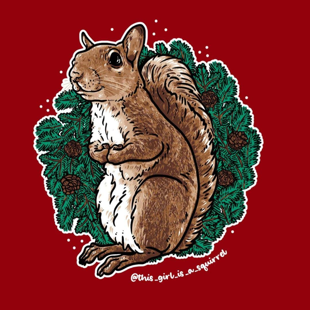 Jillのインスタグラム：「Jill holidays shirts are here!⁣ ⁣ 🎄⁣ ⁣ The very talented folks at @bonfire have created a limited edition holiday illustration.⁣ ⁣ 🎄⁣ ⁣ Visit bonfire.com/thisgirlisasquirrel to purchase! Choose from a tshirt, long sleeve tshirt, sweatshirt, or hoodie.⁣ Hurry! This campaign will end in 10 days. Orders will start shipping on December 11. ⁣ ⁣ ⁣ ⁣ #petsquirrel #squirrel #squirrels #squirrellove #squirrellife #squirrelsofig #squirrelsofinstagram #easterngreysquirrel #easterngraysquirrel #ilovesquirrels #petsofinstagram #jillthesquirrel #thisgirlisasquirrel #holidaysquirrel #thisgirlisasquirrelart #squirrelshirt」