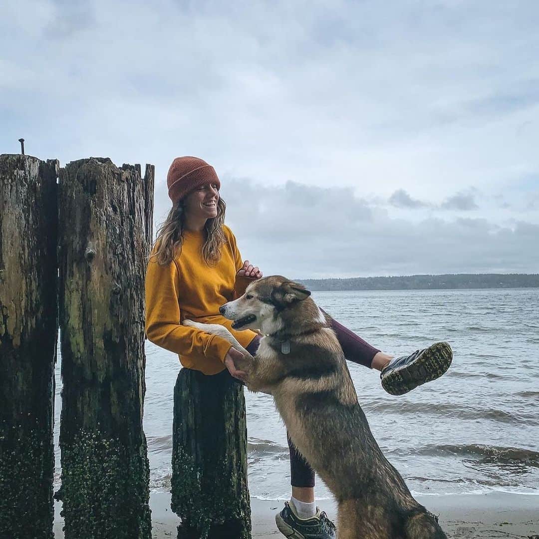 ホカオネオネのインスタグラム：「"Can I get a roaring round of applause for all the dogs, cats, bunnies, lizards, and assorted other house pets that have been working overtime making sure us humans are feeling loved and supported this week?! 👏👏👏👏"  - HOKA fan @kelseykagan #TimeToFly  📸 @kelseykagan, @komrekr, @terriertokig, Jimmy McLoughlin」