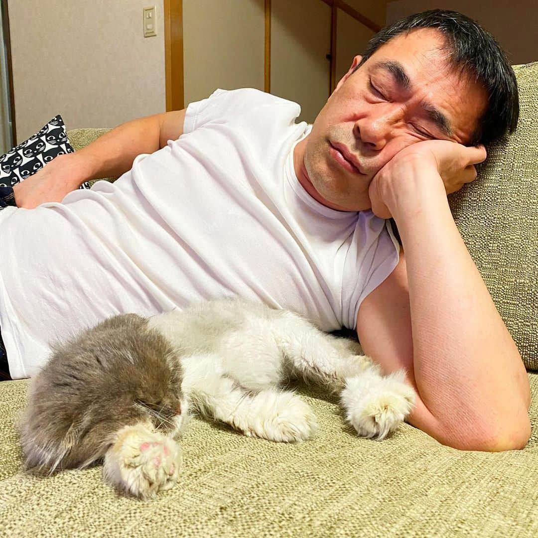 nemuru_catさんのインスタグラム写真 - (nemuru_catInstagram)「#銭形#眠る夫  ゼニー君と眠る夫婦に お悔やみをありがとうございます。 みなさんまで悲しい気持ちに させてしまってごめんなさいね… かなり寒くなってきたので みなさんもみにゃさんも 体調に気をつけてくださいね。 * #ねこ部#cat#cats#neko#猫#catsofinstagram#bestmeow#catlover#instagramjapan#ふわもこ部#スコティッシュフォールド#scottishfold」11月25日 3時10分 - nemuru_cat