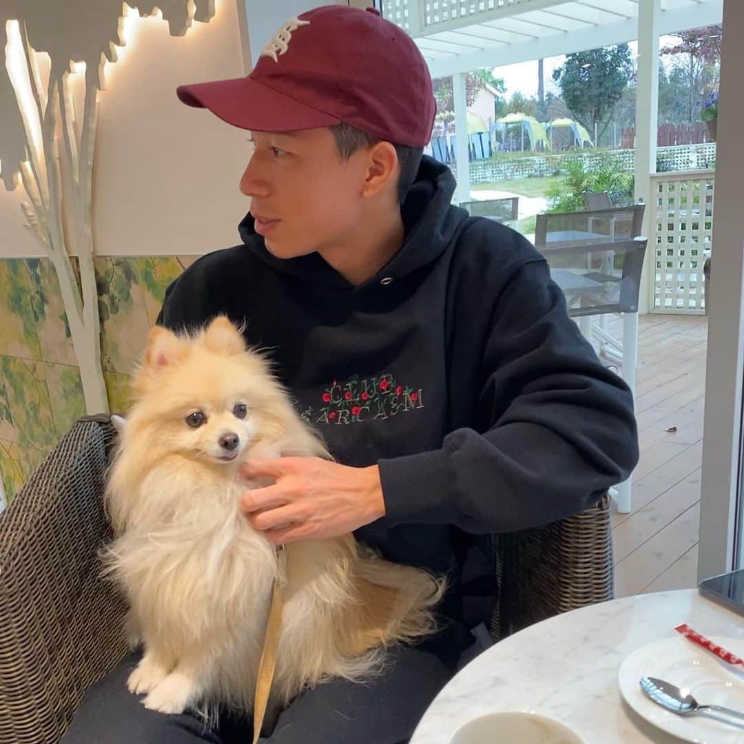 のインスタグラム：「自分が小学生以来ぶりの家族旅行は犬も泊まれる千葉のドギーズアイランドへ。 遊び疲れてウトウトしてるとこが可愛すぎる #family #familytrip #dog #pomeranian #clubsarcasm」
