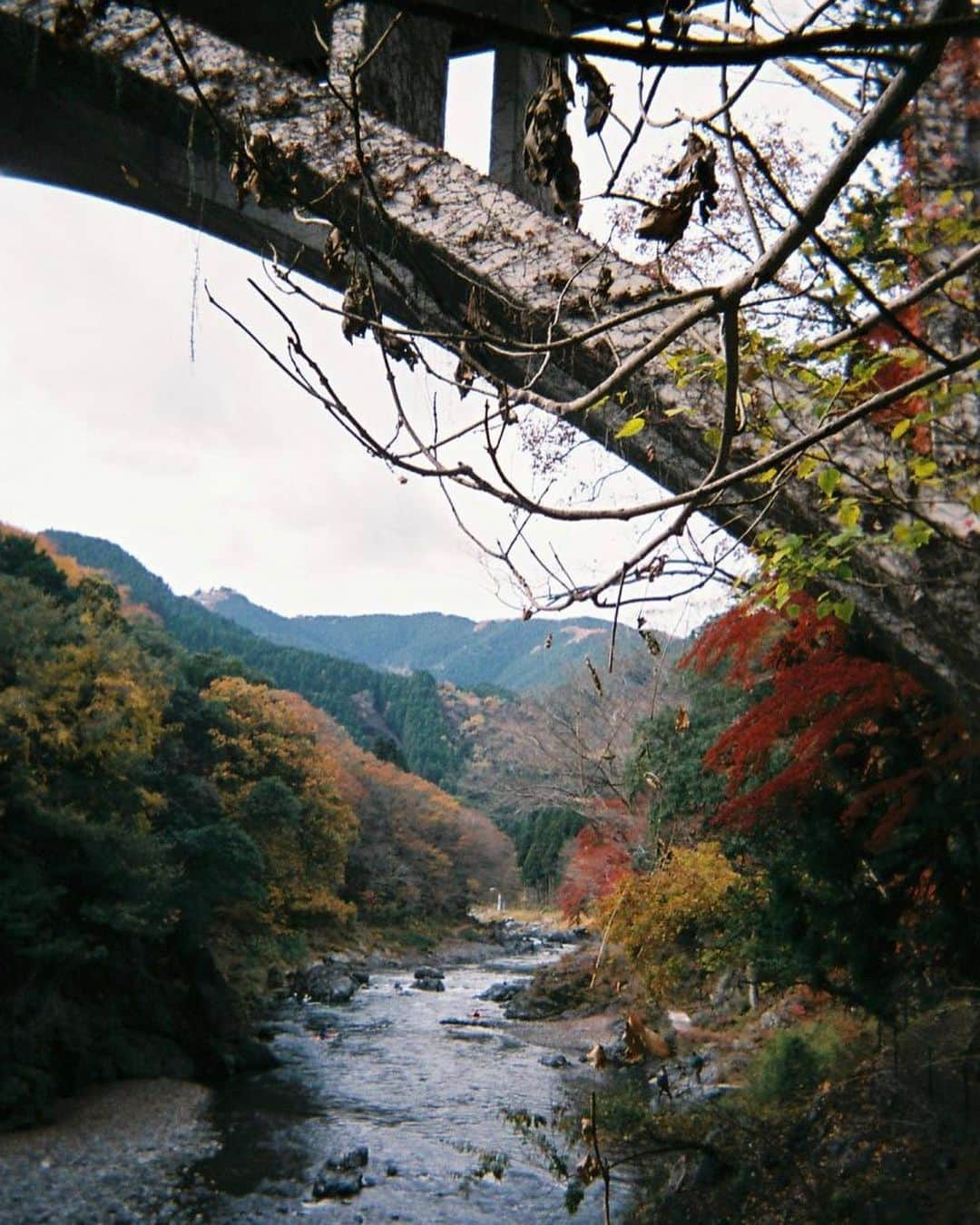 小田飛鳥さんのインスタグラム写真 - (小田飛鳥Instagram)「多摩川〜御岳山〜日の出山、写ルンです♪です♪ 人工物と自然物が溶け合ってる感じが好き☺︎ #ケーブルカー #御神木 #多摩川 #西多摩 #御岳山 #日の出山 #紅葉 #写ルンです」11月24日 18時53分 - asuka_oda_0320