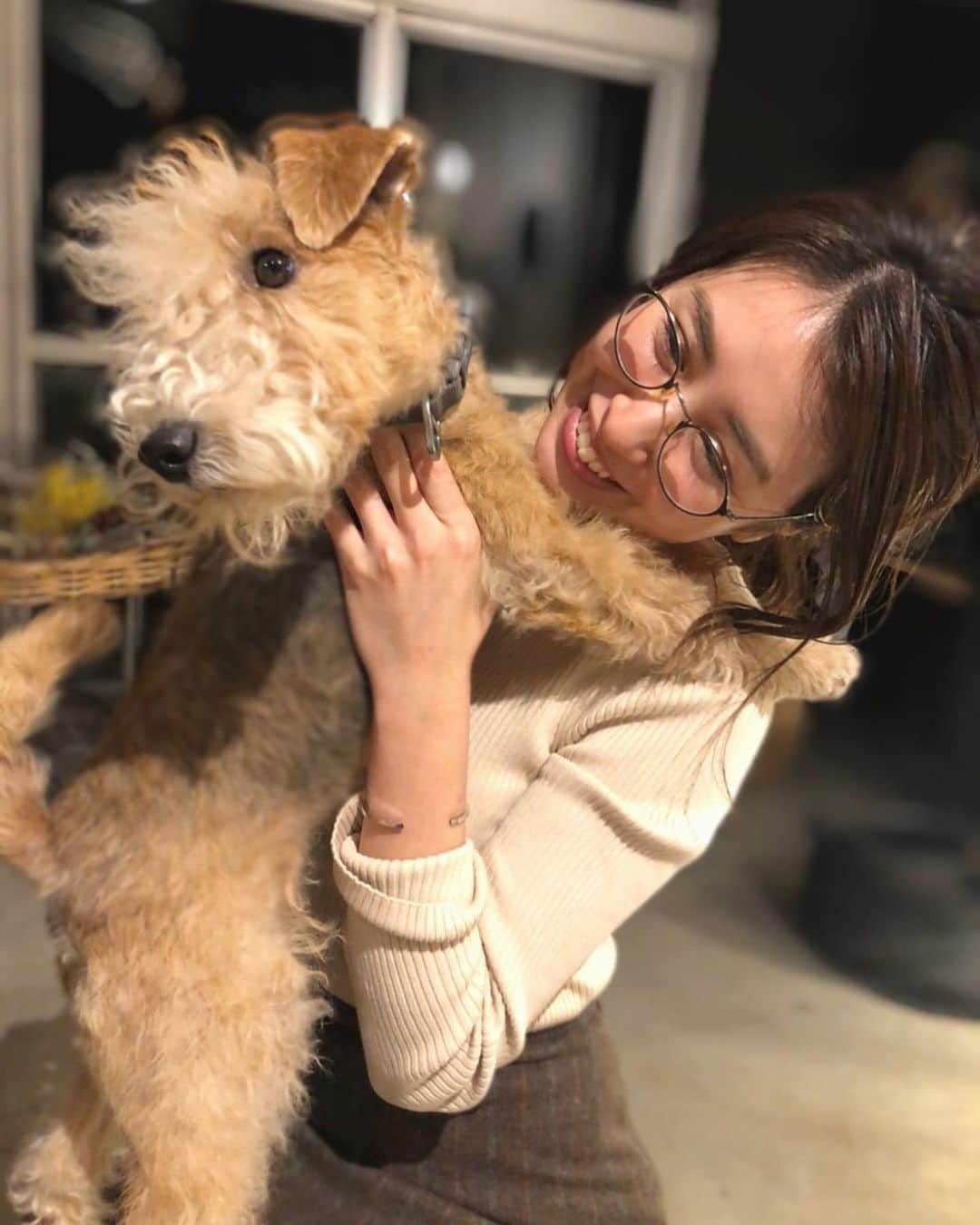 のインスタグラム：「@nami003ztt の性格もよくて可愛いイーヴィーに会うたびメロメロ💕  #loveanimals  #doglover」