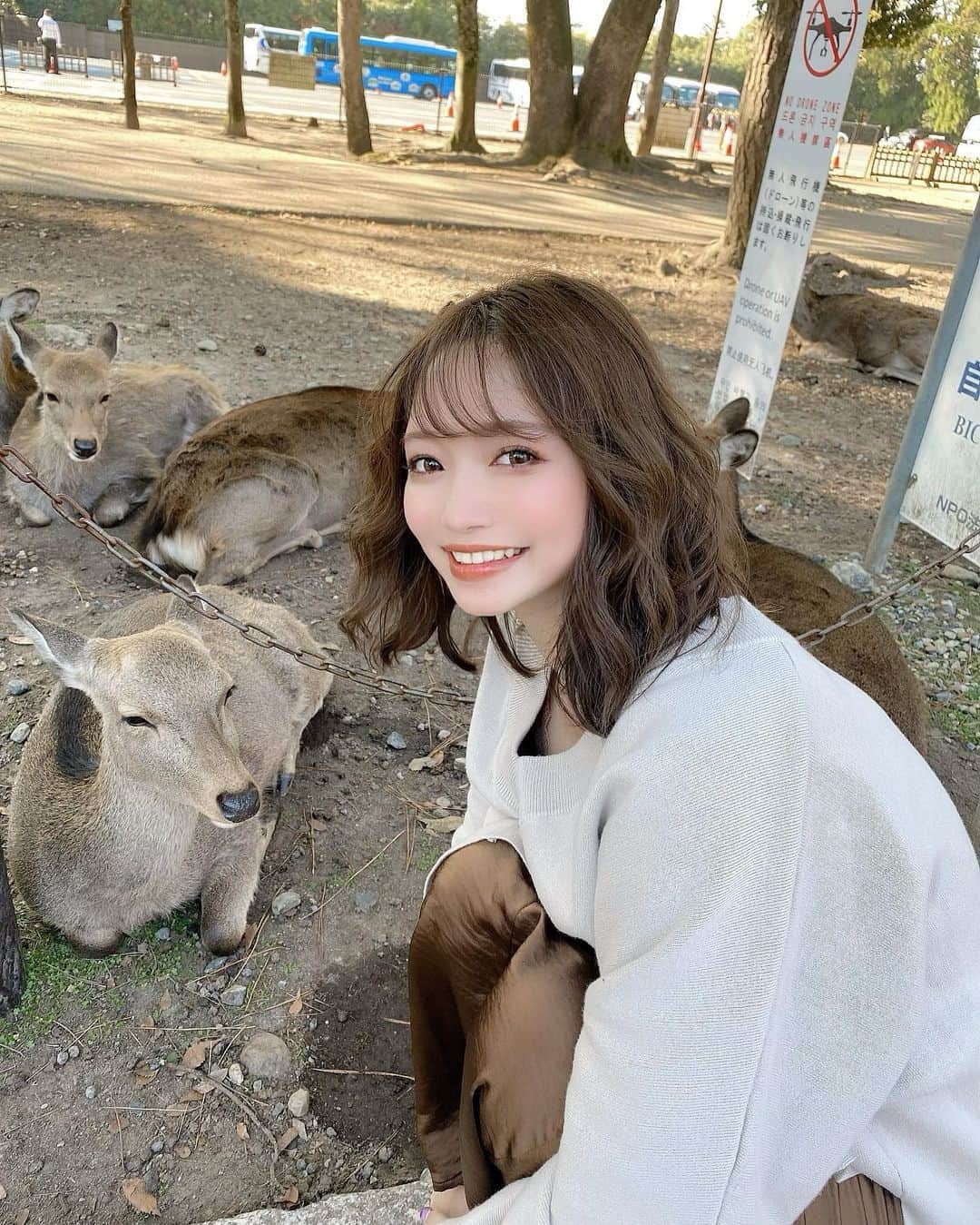 YUKIKOさんのインスタグラム写真 - (YUKIKOInstagram)「. 奈良公園にて🦌🧡 辺りを見渡せば鹿だらけ🙄✨ 道路も普通に歩いてるもんなぁ😂 せんべいくれるんじゃないかと 寄ってくるの可愛かった🥰💓 眠たそうにしてた鹿さん集団と一緒に 写真撮ることに成功した1枚💟 コーデもなんだか🦌ぽい🤫笑 . #奈良 #奈良観光 #奈良公園 #奈良の鹿  #鹿 #奈良旅行 #nara #narajapan」11月24日 20時29分 - 128yukinco