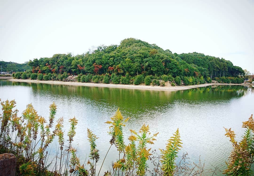 和田益典のインスタグラム