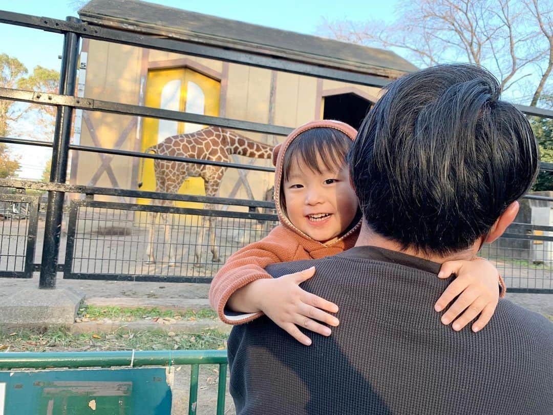 ᴋᴀɴᴀᴋöさんのインスタグラム写真 - (ᴋᴀɴᴀᴋöInstagram)「動物園へ🦒🐒🦩🐏🦌🐴🐍🦁 * 🐧の写真(pic.3)の 👶🏻目線の動画は @insta360 で 撮ったもの📸 これ本当に おもしろい😻✨ * 📹→ おしゃべりを いっぱいしながら 楽しんでました🌈まだ完璧じゃない おしゃべりが 愛おしい❤️ * #insta360#insta360GO#20GramSteadyCam」11月24日 20時36分 - kanakokko_34_