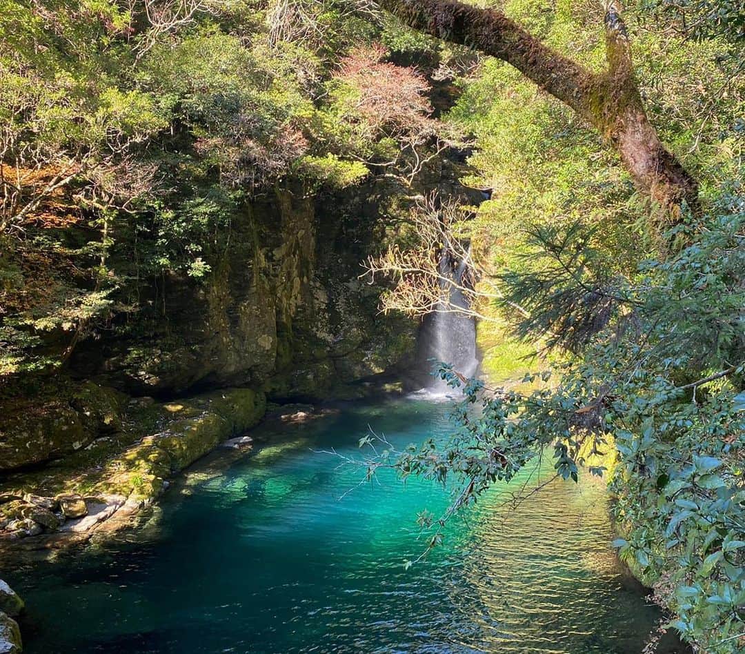 のインスタグラム：「仁淀川の美しいブルー✨ 水も空も山も光も、本当にきれいだった✨✨✨」