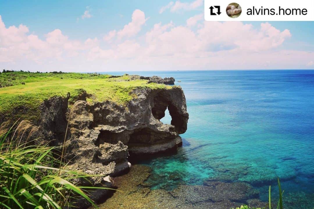 ANA.IC.MANZA.BEACH.RESORTさんのインスタグラム写真 - (ANA.IC.MANZA.BEACH.RESORTInstagram)「#Repost @alvins.home with @make_repost ・・・ (Beforeコロナ). 世界がコロナに勝つことを祈って止みません。沖縄の海で１時間のスノーケリング。色とりどりの魚を間近に見られて、珊瑚の活動してる音を初めて聞いてとても感動しました！  Needed some peace and quiet... this little island gave me so much more. All new cultural experiences and a big smile on my face. Please take me back to your home someday, dear Okinawa.  -- Thank you for sharing your great photos and heart! --  @visitjapanjp  #MyOwnPersonalJapan #visitjapanjp  #world #trip #japan #okinawa #beach #沖縄 #ビーチ #万座毛 #ANAインターコンチネンタル万座ビーチリゾート #カメラ好き #写真好き #想いをつなぐ #旅 #旅行 #日本旅行 #ニッポン旅 #travel #国内旅行 #旅人 #旅行好き」11月24日 21時00分 - ana.ic.manza.beach.resort