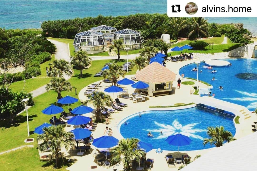 ANA.IC.MANZA.BEACH.RESORTさんのインスタグラム写真 - (ANA.IC.MANZA.BEACH.RESORTInstagram)「#Repost @alvins.home with @make_repost ・・・ (Beforeコロナ). 世界がコロナに勝つことを祈って止みません。沖縄の海で１時間のスノーケリング。色とりどりの魚を間近に見られて、珊瑚の活動してる音を初めて聞いてとても感動しました！  Needed some peace and quiet... this little island gave me so much more. All new cultural experiences and a big smile on my face. Please take me back to your home someday, dear Okinawa.  -- Thank you for sharing your great photos and heart! --  @visitjapanjp  #MyOwnPersonalJapan #visitjapanjp  #world #trip #japan #okinawa #beach #沖縄 #ビーチ #万座毛 #ANAインターコンチネンタル万座ビーチリゾート #カメラ好き #写真好き #想いをつなぐ #旅 #旅行 #日本旅行 #ニッポン旅 #travel #国内旅行 #旅人 #旅行好き」11月24日 21時00分 - ana.ic.manza.beach.resort