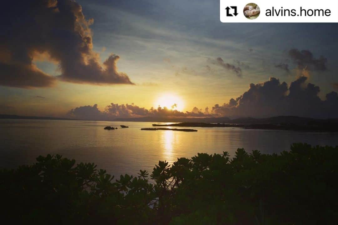 ANA.IC.MANZA.BEACH.RESORTさんのインスタグラム写真 - (ANA.IC.MANZA.BEACH.RESORTInstagram)「#Repost @alvins.home with @make_repost ・・・ (Beforeコロナ). 世界がコロナに勝つことを祈って止みません。沖縄の海で１時間のスノーケリング。色とりどりの魚を間近に見られて、珊瑚の活動してる音を初めて聞いてとても感動しました！  Needed some peace and quiet... this little island gave me so much more. All new cultural experiences and a big smile on my face. Please take me back to your home someday, dear Okinawa.  -- Thank you for sharing your great photos and heart! --  @visitjapanjp  #MyOwnPersonalJapan #visitjapanjp  #world #trip #japan #okinawa #beach #沖縄 #ビーチ #万座毛 #ANAインターコンチネンタル万座ビーチリゾート #カメラ好き #写真好き #想いをつなぐ #旅 #旅行 #日本旅行 #ニッポン旅 #travel #国内旅行 #旅人 #旅行好き」11月24日 21時00分 - ana.ic.manza.beach.resort