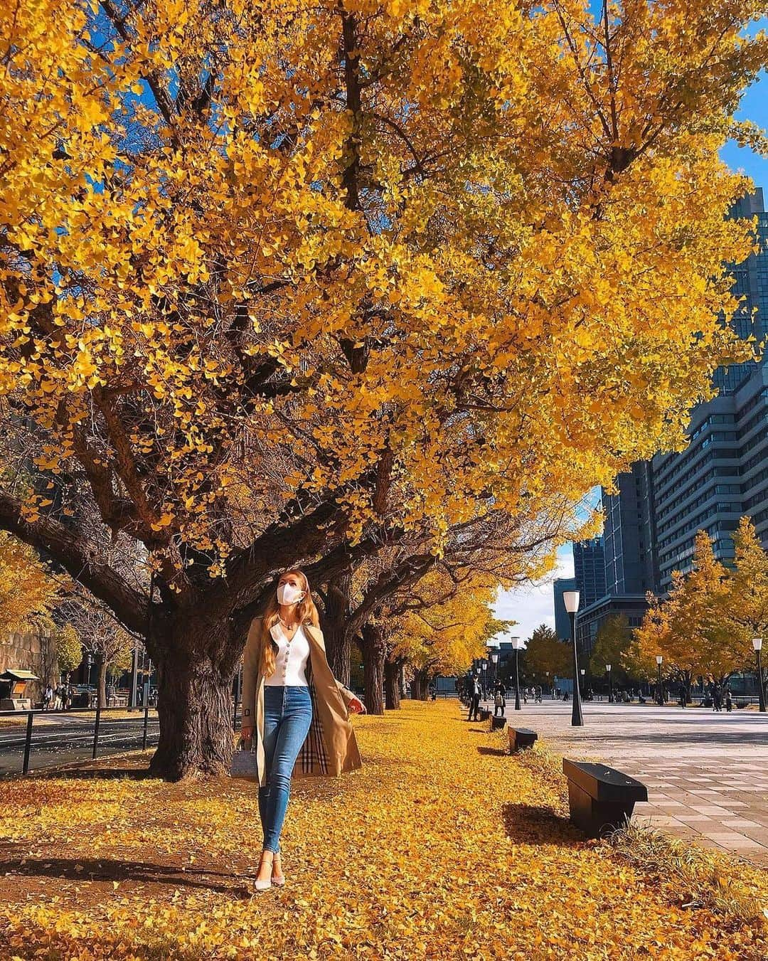 Andaz Tokyo アンダーズ 東京さんのインスタグラム写真 - (Andaz Tokyo アンダーズ 東京Instagram)「Fall foliage in all its glory 🍂 With its distinct golden color, centuries-old ginkgo trees line the streets of #Marunouchi creating vibrant paths you can’t help but marvel at. A short walk from @andaztokyo discover for yourself the beauty of autumn in Tokyo 💛  📸 Special thanks to @katewigkeit   #丸の内 #イチョウ並木 #イチョウ #秋 #ginkgo #gingkotree #autumninjapan #fallleaves」11月24日 21時27分 - andaztokyo