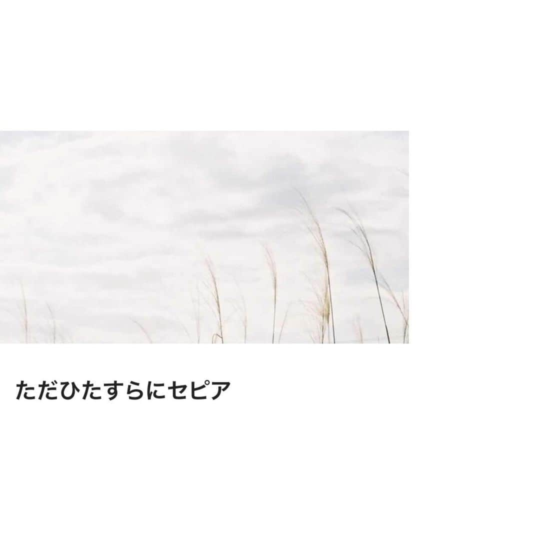 ラブリさんのインスタグラム写真 - (ラブリInstagram)「頭の中はジェットコースターみたいなのですが、言葉は書いてます。書かないと私どっかいっちゃいますのでね。  note UPしました 『ただひたすらにセピア』 ストーリーのリンクから、もしくは note/白濱イズミで検索してね！  #本当に話したいことを本当に聞きたい時だけ  #note」11月24日 21時40分 - loveli_official