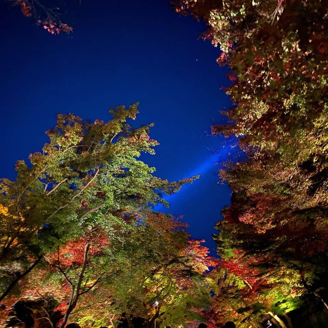 せいかさんのインスタグラム写真 - (せいかInstagram)「ほんまに京都だいすき。。。」11月24日 21時42分 - 9815ks