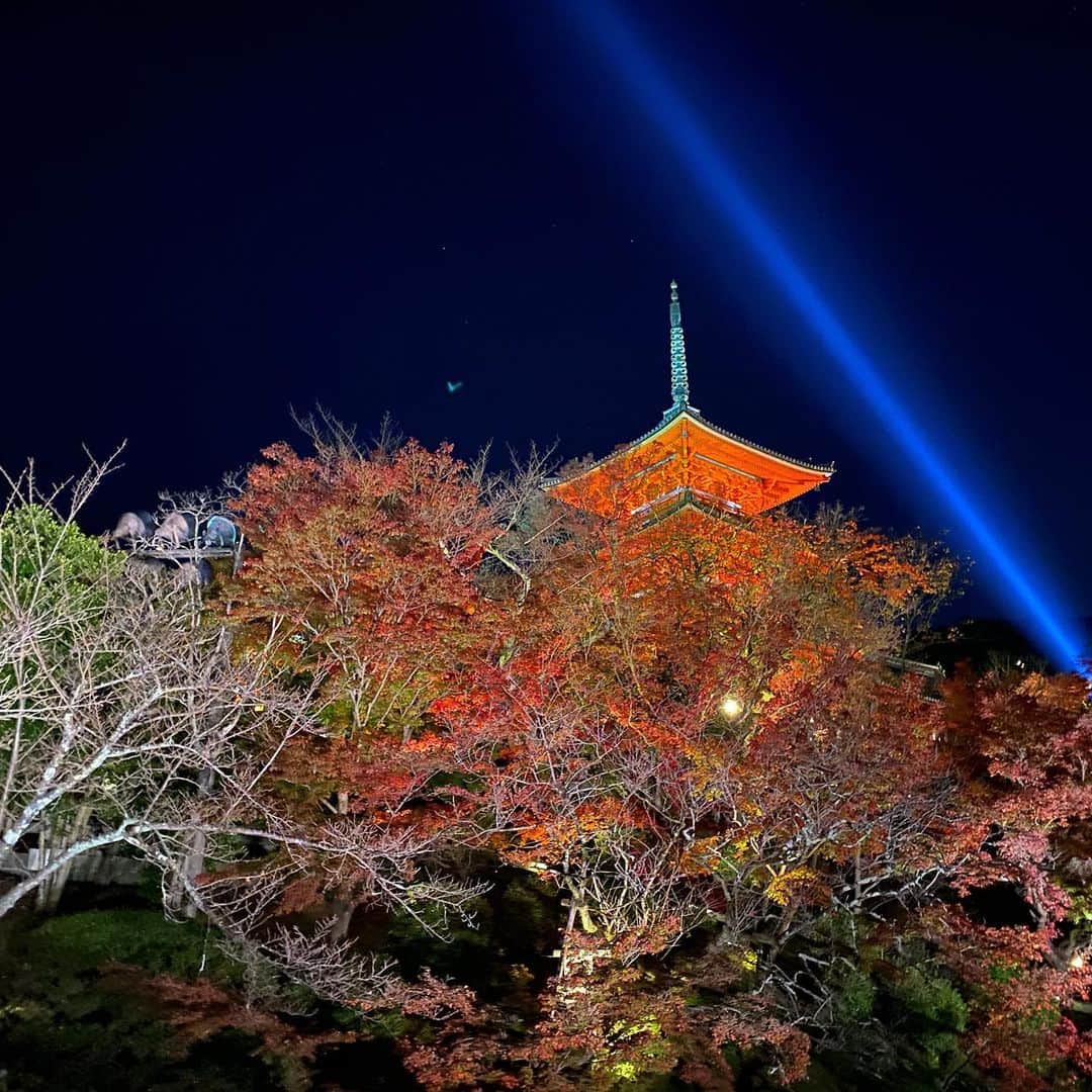 せいかさんのインスタグラム写真 - (せいかInstagram)「ほんまに京都だいすき。。。」11月24日 21時42分 - 9815ks