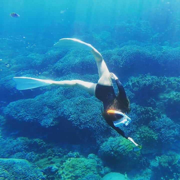 MAIMAIのインスタグラム：「シュノーケリング！ 私の手の癖が凄いんじゃ！笑 ほんとに海の中綺麗で魚たくさん珊瑚沢山♡ 綺麗すぎて1時間以上泳ぎっぱなしでも全然飽きない！ もっと優雅に泳げるようになりたいな〜🐟  #宮古島  #沖縄  #宮古島旅行  #宮古島ブルー  #宮古島の海  #中の島ビーチ  #シュノーケリング  #綺麗な海が好き  #さんご畑  #miyakojima  #miyakoisland  #okinawajapan  #okinawa」
