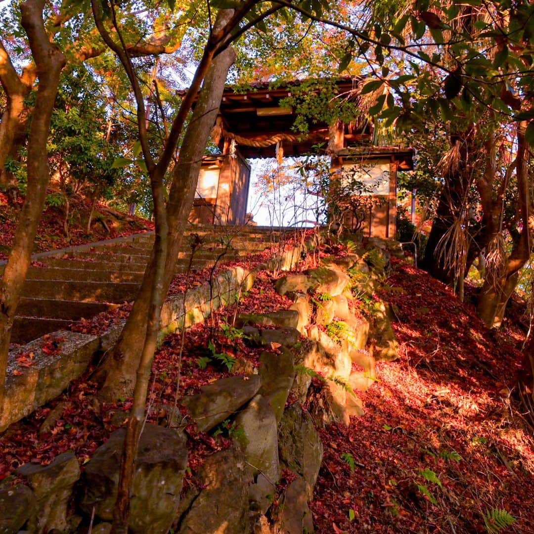 中野猛さんのインスタグラム写真 - (中野猛Instagram)「2020年の京都の紅葉🍁 今年の紅葉は中途半端な色彩だった。 中途半端な色彩をどう綺麗に撮るか？ これもまた楽しい。  どんな場面も考え方次第。  #京都の秋　#コロナの秋　#light_nikon  #nikon #NikonZ6 #kyoto #art_of_japan_  #art_photogroup  #風景写真  #東京カメラ倶楽部  #京都 #Kyoto #kyotojapan  #photgraphy」11月24日 22時05分 - takeshi__nakano