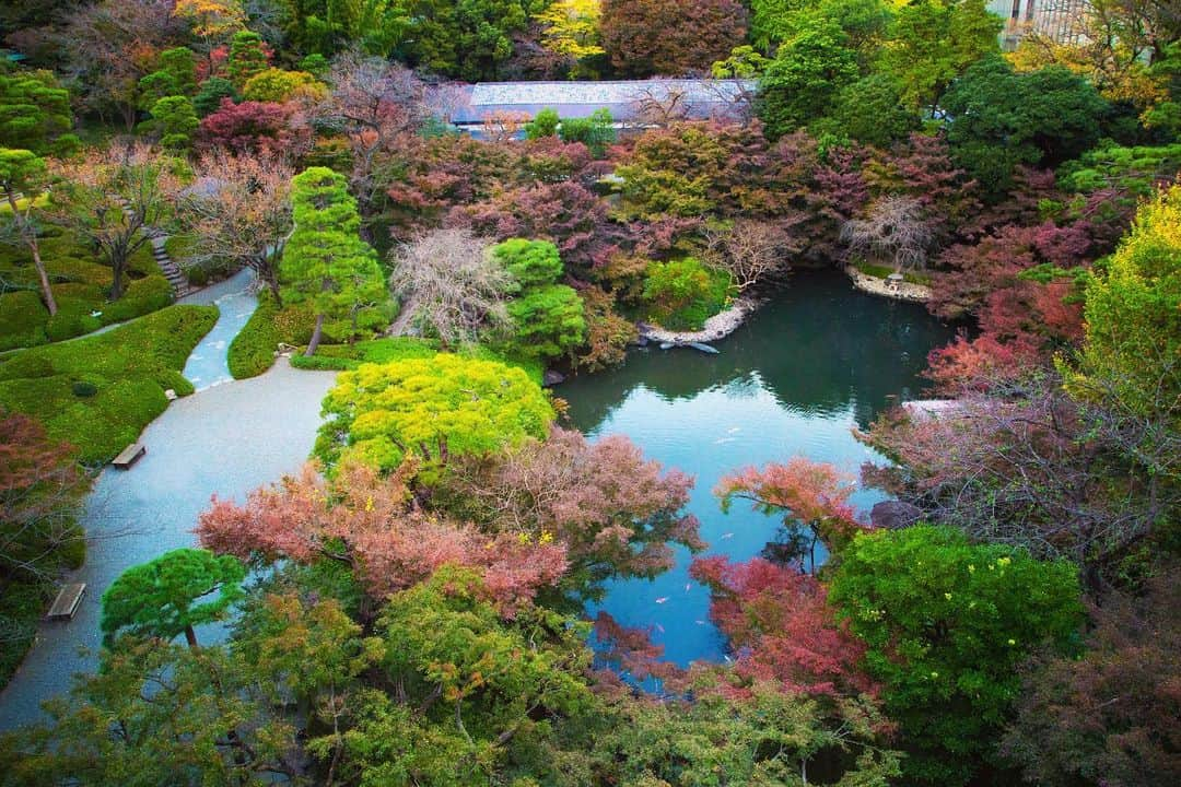 八芳園さんのインスタグラム写真 - (八芳園Instagram)「岩手県山田町×オランダ王国 食を通じたホストタウン交流・イベントをプロデュース . 2019年12月、八芳園は「復興ありがとうホストタウン」のひとつである岩手県山田町と連携し、山田町のホストタウン相手国であるオランダ王国にて、“食”を通じた国際交流活動をサポート。山田町の食材で出来た“出汁”がオランダ王国の料理の旨味をさらに引き立て、皆様の心に残るひとときとなりました。 . その繋がりから、この度、山田町の海・山の幸を使用した“出汁”を中心に、2020年以降も続く山田町×オランダ王国の交流の証となるフード開発・イベントコンテンツのプロデュースを行います。 . ——————— ■山田町の海・山の幸を使用した「海の宝だし」「山の宝だし」を開発 ■“食”のレガシーとなる、ふたつの出汁を使用した、オランダでも美味しく召し上がって頂けるオリジナルフードプロデュース ■山田町×オランダ王国のホストタウン交流を支援するポップアップショールームを2020年11月28日(土)・29日(日)限定で開催 ——————— . 「復興ありがとうホストタウン」のひとつである岩手県山田町は、江戸時代にオランダ船が入港した縁でオランダ王国との交流が続いており、ホストタウン事業においても食文化を中心とした交流を図っています。 . 東日本大震災により甚大な被害をこうむった山田町の特産品である養殖のホタテやカキ、原木しいたけなどは、オランダ関係者を含めた多くの方々の支援により、震災前の活気を取り戻しつつあります。 オランダ王国へ、そして日本中、世界中へ感謝の想いと山田町の豊かな自然がもたらす恵みをお届けするため、山田町の海・山の幸を使用した、日本の和食文化を支える“出汁”を山田町と共同開発いたしました。 「海の宝だし」「山の宝だし」と名付けた2つの出汁は、無塩・無添加で作られており、調理に使用することはもちろん、そのままスープとしても美味しくお召し上がりいただけます。（※発売日未定） . これらの「海の宝だし」「山の宝だし」を使用した出汁料理を、八芳園がプロデュース。 互いの食文化が味わえるメニューを３品考案しました。 山田町にて飲食店“和海味処いっぷく”を営む山崎氏と、八芳園料理長 菅野譲治のコラボレーションで開発した「海の宝だしラーメン」「山の宝だしラーメン」「オランダ島サンド」の３品。今回開発したフードメニューは、2020年以降も続く山田町×オランダ王国のホストタウン交流における食のレガシーとなるよう展開してまいります。 . また今週末、2020年11月28日(土)・29日(日)には、八芳園の新店舗ポップアップ型イベントスペース「MuSuBu」にて、山田町×オランダ王国のホストタウン交流を支援するポップアップイベント【山田町×オランダ王国 ホストタウンポップアップショールーム「宝だしカフェ」】を開催いたします。 . 山田町×オランダ王国のホストタウン交流の様子や、「復興ありがとうホストタウン」についての紹介、山田町の特産品やお土産品の販売など、山田町のホストタウン活動をサポートする展示ブースを設置。2つの出汁を使用したメニューも実際にお召し上がりいただけます。 . 国同士の食の交流とコラボレーション、山田町とオランダ王国の溢れる魅力に、港区白金台プラチナ通りの「MuSuBu」にて存分に味わい、触れてみてください。 . 【山田町×オランダ王国ホストタウンポップアップショールーム「宝だしカフェ」】  開催日：2020年11月28日(土)・29日(日)  時間：11時00分～19時00分（開発トークは12時30分～／16時00分～）  場所：「MuSuBu」東京都港区白金台4-9-19 HAPPO-EN URBAN SQUARE 1階＆2階  . ■イベントの様子はYouTubeLIVEで配信いたします。 11月28日（土）11:30〜 https://youtu.be/W-iEF8HyPgQ . 11月29日（日）11:30〜 https://youtu.be/DyU1DRON2cU . ご自宅からも「MuSuBu」のイベントをお愉しみください。 . ■八芳園プレスリリース https://prtimes.jp/main/html/rd/p/000000153.000019559.html . . @musubu_happoen  . . #八芳園 #結婚式場 . #山田町 #オランダ王国 #ホストタウン #食文化 #出汁 . #日本庭園 #自然 #紅葉 #紅葉スポット #紅葉ライトアップ #秋　#風景写真 #港区 #紅葉狩り  . #東京観光  #東京カメラ部  #自然が好き #庭好き　#写真好き  #写真好きな人と繋がりたい  #カメラ好きな人と繋がりたい  #風景写真を撮るのが好きな人と繋がりたい  #その瞬間に物語を  . #プレ花嫁 #式場探し . #japanesegarden  #tokyotokyo  #tokyotodo」11月24日 22時09分 - happoen