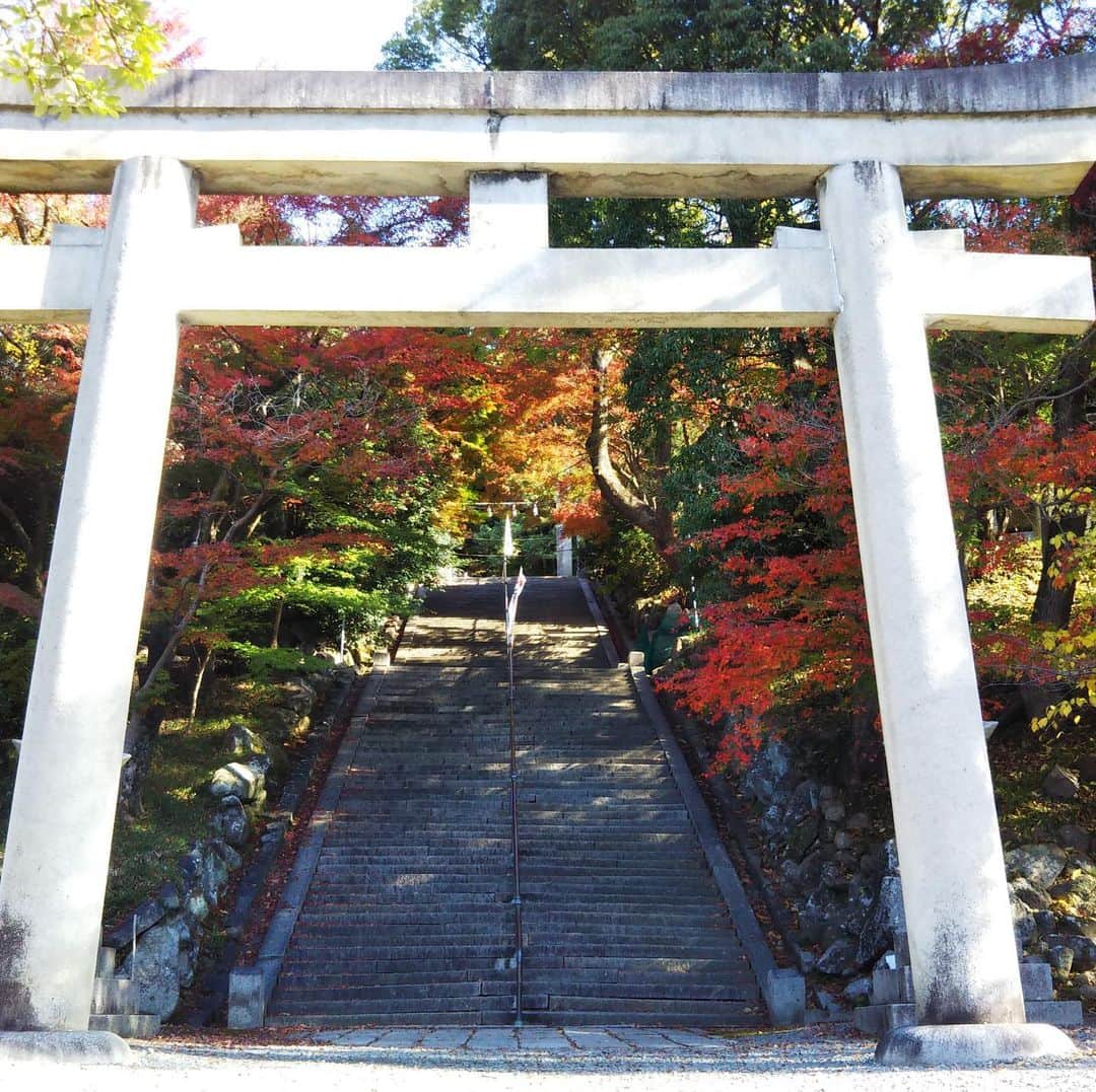 橋本かずまささんのインスタグラム写真 - (橋本かずまさInstagram)「今日も素晴らしい秋晴れでした。 終日地元大東市・四條畷市で活動を行いました。 ご近所の四條畷神社にもお参りをしてきました。 紅葉が深まってきています。 静かな境内で手を合わせると心が落ち着きました。  #大阪府 #四條畷市 #四條畷神社  #OSAKAミュージアム #楠正行 #小楠公 #紅葉 #秋晴れ」11月24日 22時14分 - kazumasa.hashimoto