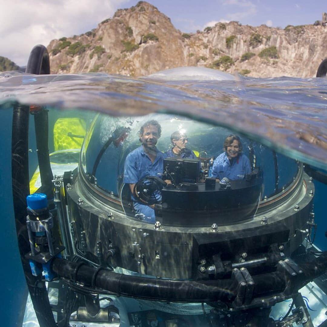 エルエヌシーシーさんのインスタグラム写真 - (エルエヌシーシーInstagram)「LN-CC Conscious Inspiration: Mission Blue, 2014. The documentary film follows Dr. Sylvia Earle on her quest to protect the ocean from the threats of pollution, overfishing and climate change. #Conscious」11月24日 22時33分 - thelncc