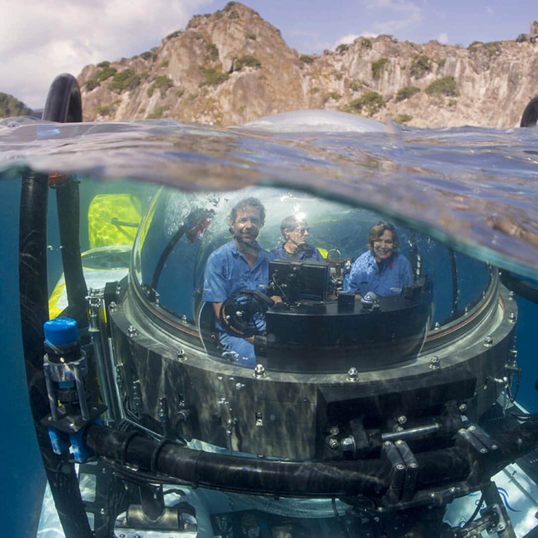 エルエヌシーシーのインスタグラム：「LN-CC Conscious Inspiration: Mission Blue, 2014. The documentary film follows Dr. Sylvia Earle on her quest to protect the ocean from the threats of pollution, overfishing and climate change. #Conscious」