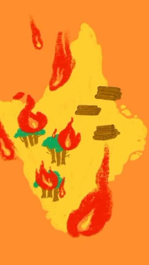 カロライナディークマンのインスタグラム：「informações de quem conhece o amapá e está vendo a família passar por essa situação desesperadora.  assistam, leiam, compartilhem, e quem puder ajudar, ajude.  #repost @tamimartinsss  Por que o Amapá está no Escuro? #SOSAmapá  Sou amapaense e essa animação é sobre o Amapá que desde 03 de NOV de 2020 está sem energia elétrica, e consequentemente limitado acesso a água encanada. Tudo isso em meio a pandemia de COVID-19.  Minha indignação é imensa, e ser amapaense sempre foi estar num dos lugares mais incríveis do planeta com a pior administração pública. Eu queria ilustrar esse sentimento para compartilhar com você.  Toda a minha força e amor aos amapaenses passando por essa situação desumana e absurda. Há um ano me mudei de estado e me sinto tão impotente aqui, com meus familiares e amigos todos no Amapá. Na primeira semana, sem telefonia funcionando, eu não conseguia nem mesmo falar com minha família. Foi terrível não saber como estavam, se tinham enfrentado filas, se alguém havia se contaminado, se haviam conseguido ÁGUA... tantas preocupações. É tão, tão absurdo.  As manifestações populares no AP seguem apesar da violência policial, e todos os amapaenses estão exaustos, indignados e ainda no escuro.  #SOSAmapá  Se informe com essas jornalistas incríveis sobre o que está acontecendo no Ap:  @_raypenha @luizadejobim_ @amazoniareal  Para fazer doações:  @utopia_negra @quilombosankofa @amapasolidario  ---- *Rio Amazonas - é o maior rio do mundo em Volume e extensão. :)」