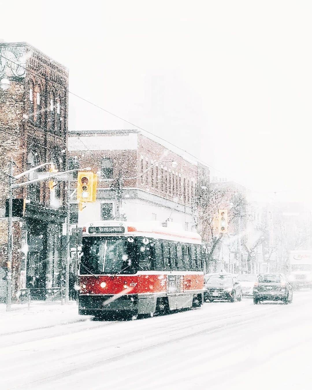 kaelのインスタグラム：「Classic Toronto snowstorm」