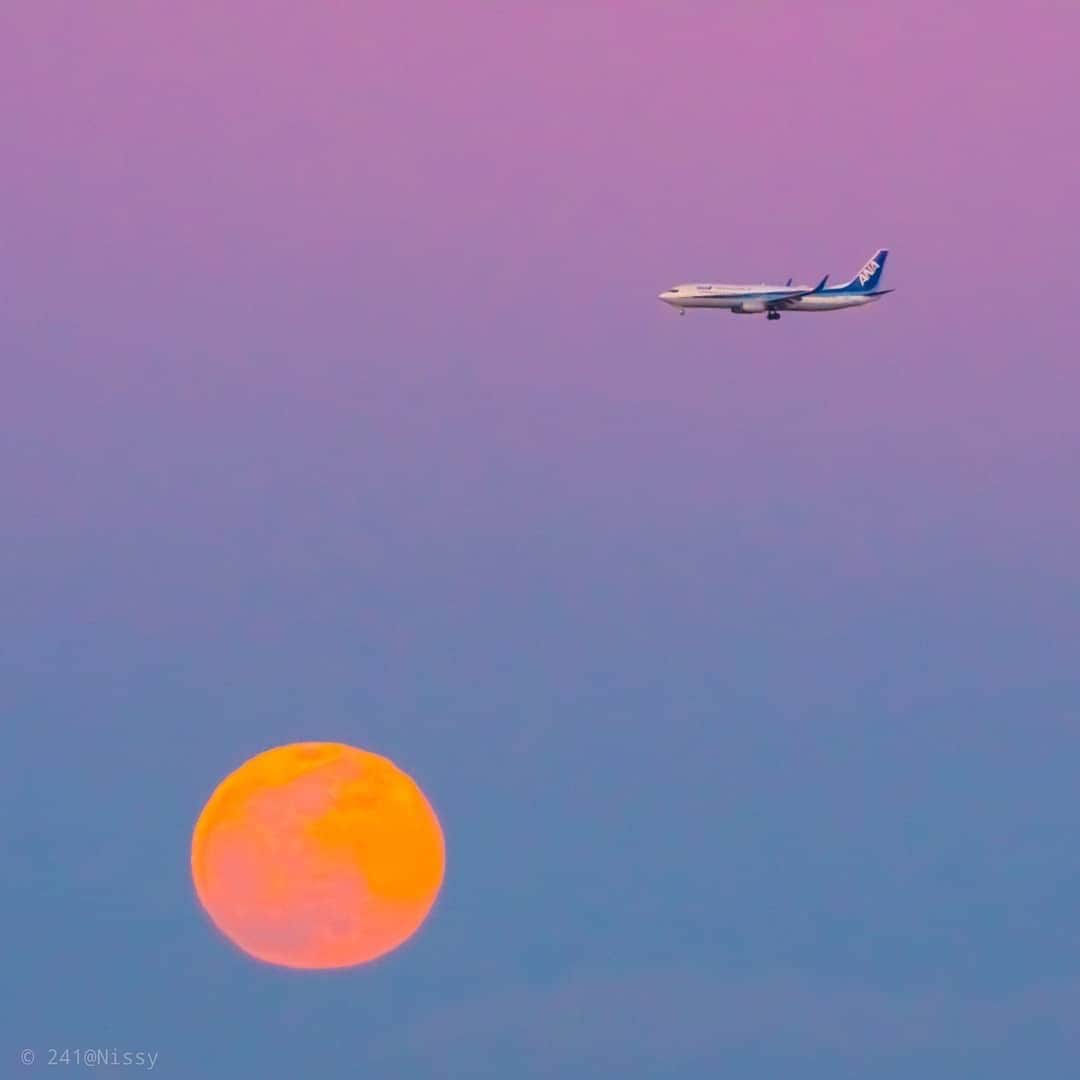 All Nippon Airwaysさんのインスタグラム写真 - (All Nippon AirwaysInstagram)「Over the moon to be in the sky again ✈️ 📷  @keos_nissy #Regram #FlyANA」11月24日 23時19分 - allnipponairways